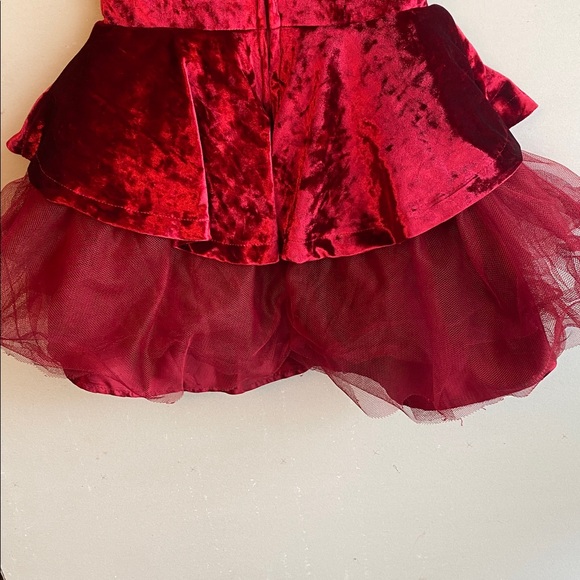 Disney belle Princess burgundy Velvet Dress - Picture 9 of 16